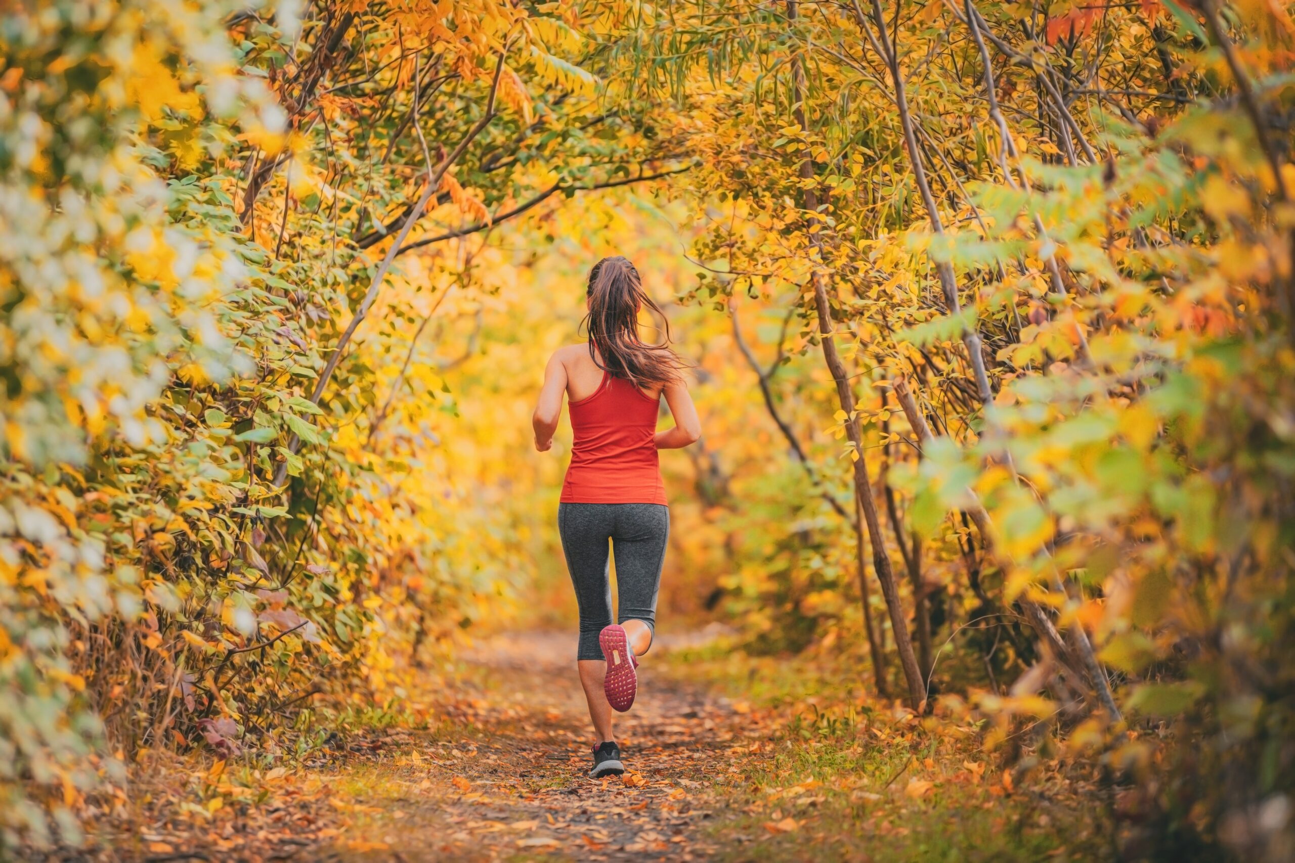Outdoor,Sports,Active,Lifestyle,Runner,Running,In,Forest,Woods,Foliage
